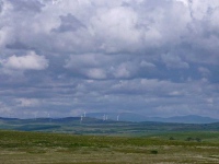 One of the many windfarms