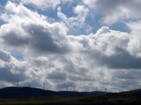 The same wind farm as day 1, just getting closer