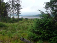 Clatteringshaws Loch, looks half full (or half empty)