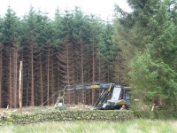 Forestry Operations