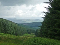 Heading down from Beld Knowe towards Brattleburn Bothy