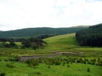 An old sheep pen in the valley below Lochy Law