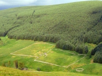 Sheep pens