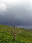 A gathering storm blowing in towards St Mary\'s Loch at the end of day 7