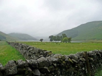 Looking back to the Loch of the Lowes on the start of day 8