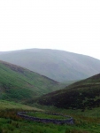 Sheep pen near South Hawkshaw Rig