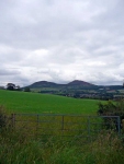 Looking back towards the Eildon Hills