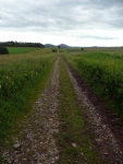 The Southern Upland Way follows the line of an old roman road for quite a way from Melrose to Lauder