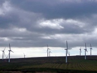 Another windfarm