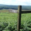 Wells of the Rees, hidden by braken