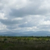 The hills to come on the Southern Upland Way