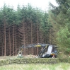 Forestry Operations