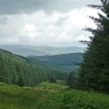 Heading down from Beld Knowe towards Brattleburn Bothy