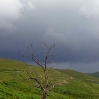 A gathering storm blowing in towards St Mary\'s Loch at the end of day 7