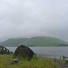 Shinglehook by Matt Baker on the shore of St Mary\'s Loch