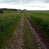 The Southern Upland Way follows the line of an old roman road for quite a way from Melrose to Lauder