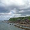 Looking south along the coast from Cove Harbour