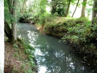 The River Ouse running alongside Rivers Wood