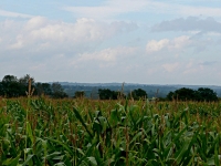 The view to the north from near Scaynes Hill