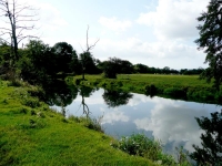 The River Ouse to the north of Barcombe Mills