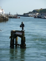 The view south from the swing bridge at Newhaven