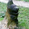 An inhabitant of the woods around Nymans