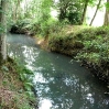 The River Ouse running alongside Rivers Wood