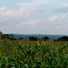 The view to the north from near Scaynes Hill