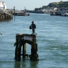 The view south from the swing bridge at Newhaven