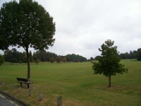 The first expanse of green though it does not last for long