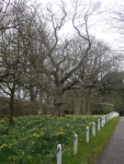 The side of a driveway along the Wealdway