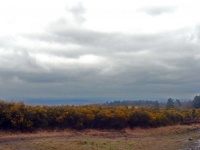 The view northwest in the rain from Camp Hill on Ashdown Forest