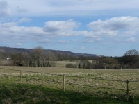 The southern slopes of the North Downs