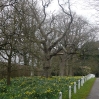 The side of a driveway along the Wealdway