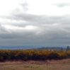 The view northwest in the rain from Camp Hill on Ashdown Forest