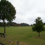 The first expanse of green though it does not last for long