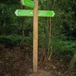 Littleheath Wood, the London Loop is perhaps a future walk