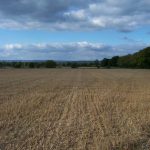 A field of stubble looking towards the South Downs