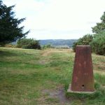 Trig point on Ashdown Forest