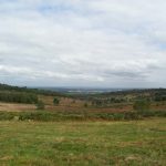 Ashdown Forest