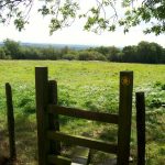 Heading south off Ashdown Forest