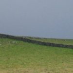 Coast to Coast, May 2007 - Lone tree on top of Orton Scar