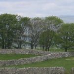 Coast to Coast, May 2007 - Trees and drystone walls heading towards Kirkby Stephen