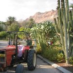 Kibbutz Ein Gedi