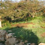 Jerusalem Botanic Garden