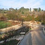 Jerusalem Botanic Garden