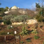 Jerusalem Botanic Garden