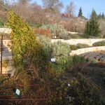 Jerusalem Botanic Garden