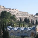 Jerusalem Old City - Garden of Gethsemane