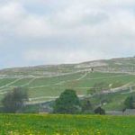 Pasture to the south of Malham header image (from day 6)